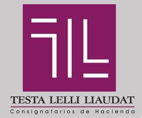 Testa Lelli Liaudat